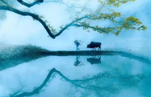 回歸鄉(xiāng)村，方知幸福 【輕鋼別墅】(圖1)