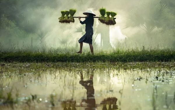 回歸鄉(xiāng)村，方知幸福 【輕鋼別墅】(圖3)