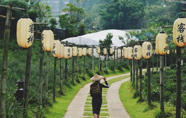 回歸鄉(xiāng)村，方知幸福 【輕鋼別墅】(圖6)