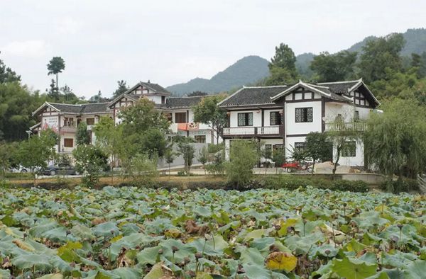 回歸鄉(xiāng)村，方知幸福 【輕鋼別墅】(圖7)