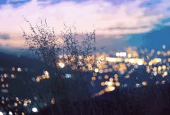 輕鋼別墅: 遠(yuǎn)離城市喧囂，獨(dú)享一方寧?kù)o