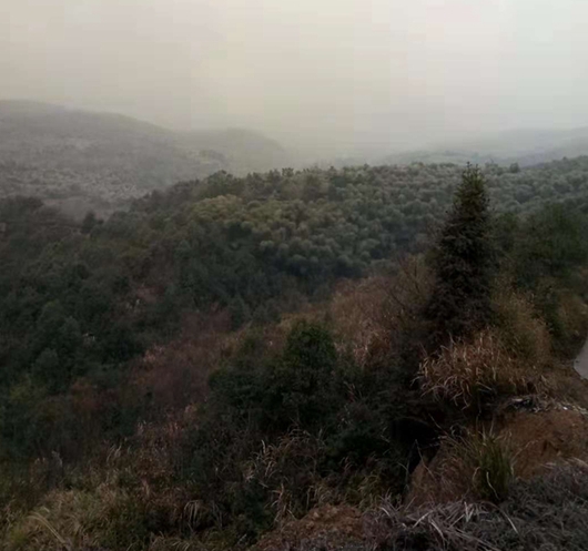 有故鄉(xiāng)者擁有幸福 ，你在他鄉(xiāng)還好嗎？(圖2)