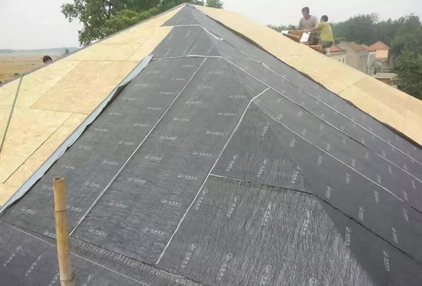 輕鋼別墅神秘在哪？價格怎么樣？今天水落石出！(圖2)