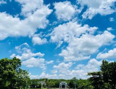 海南：放寬社會(huì)資本進(jìn)入農(nóng)村的限制！中國大農(nóng)場時(shí)代來臨？