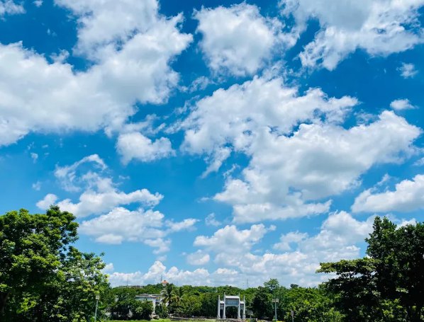 海南：放寬社會(huì)資本進(jìn)入農(nóng)村的限制！中國(guó)大農(nóng)場(chǎng)時(shí)代來(lái)臨？(圖1)