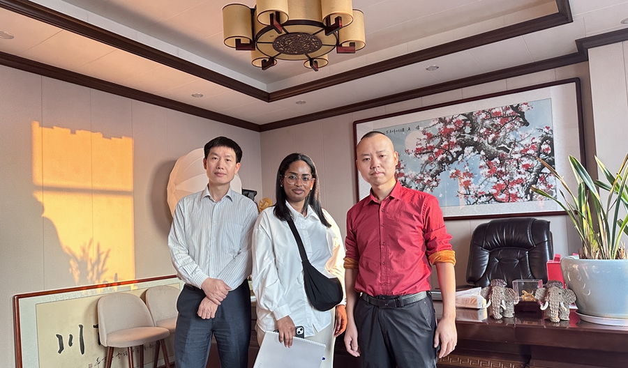 輕鋼別墅業(yè)主可以自己做內裝修嗎？